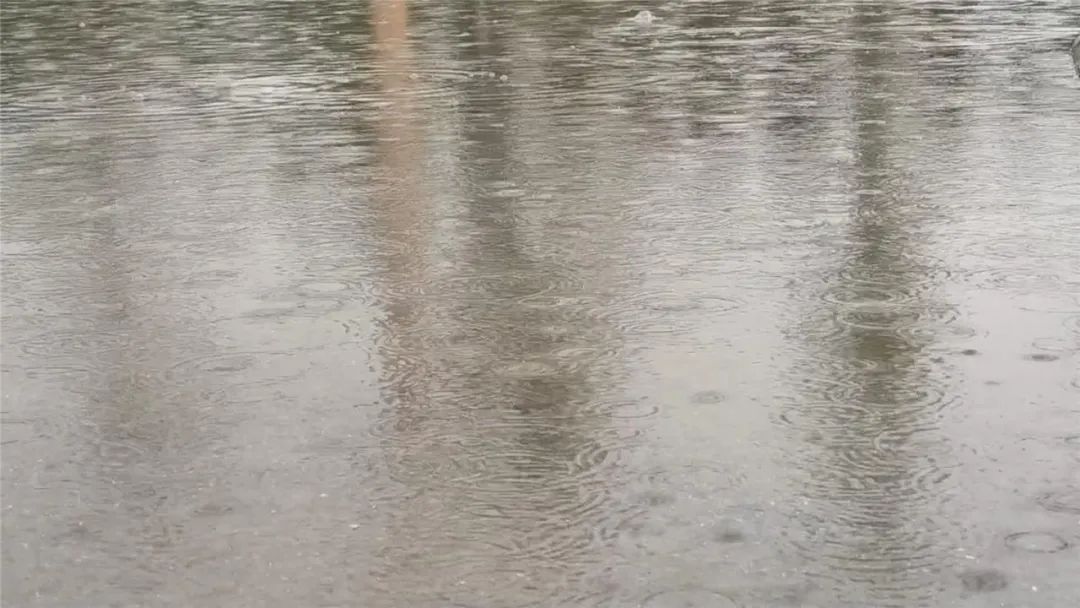 天水多举措应对强降水天气