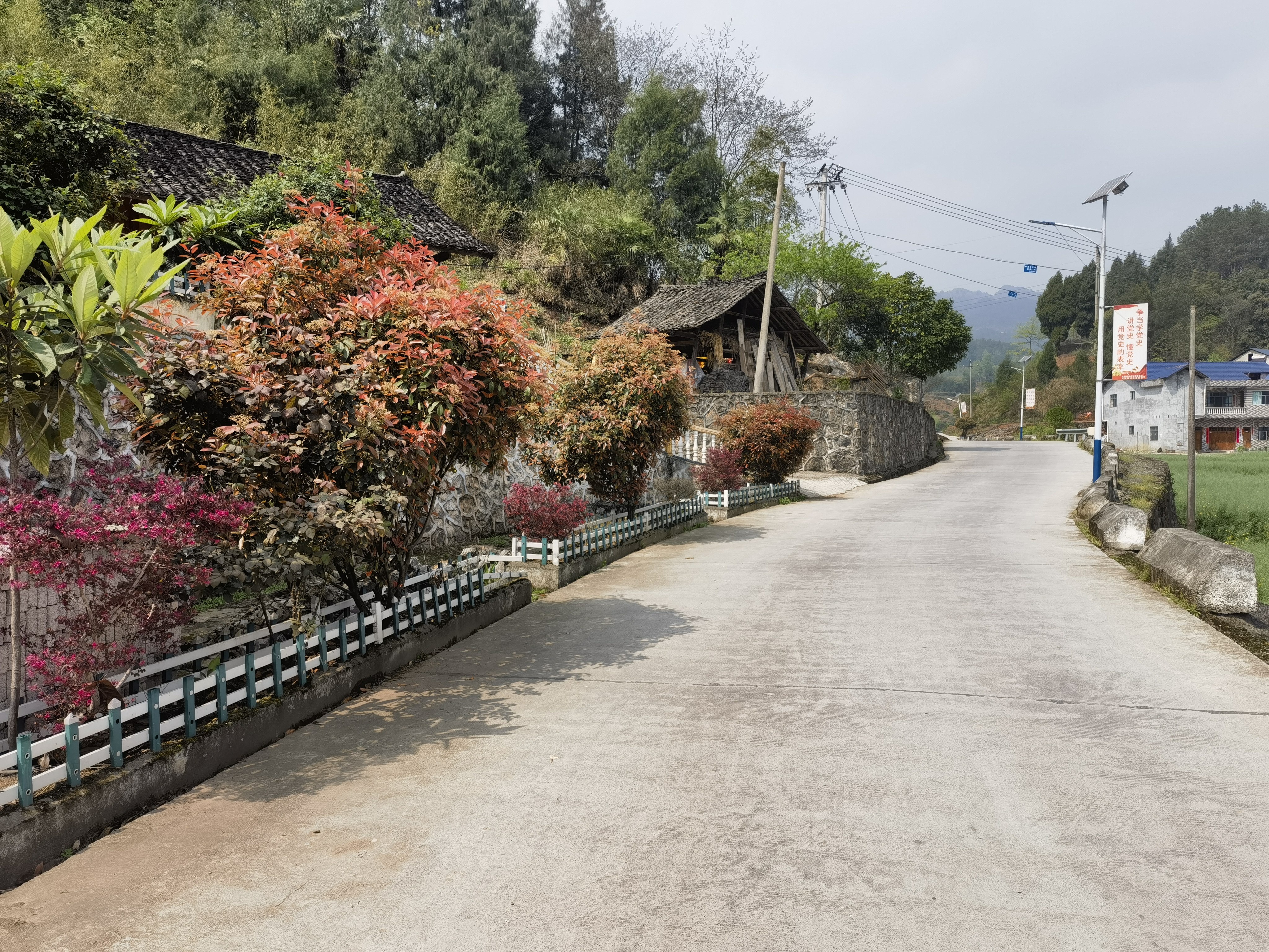 平溪镇"四大行动"不停步 和美城乡展新颜