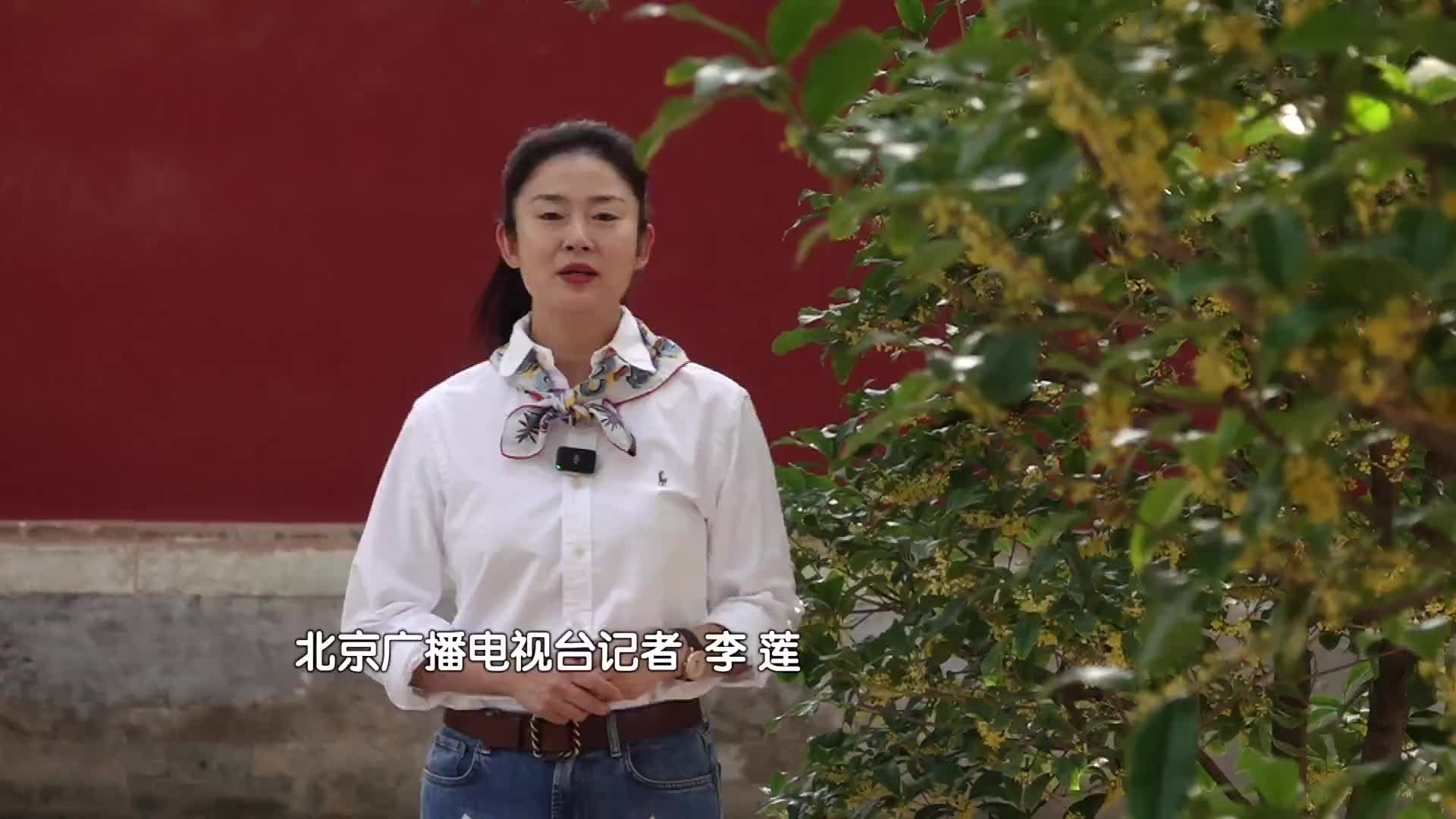 北京电视台李莲的丈夫图片