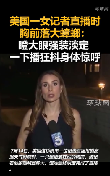 美国女记者直播胸前落大蟑螂 瞪大眼睛淡定直播 一下播狂抖身体惊呼