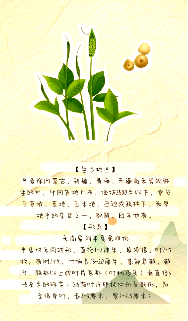 包含一年亩收入5万的药材,中药水半夏怎么种植的词条