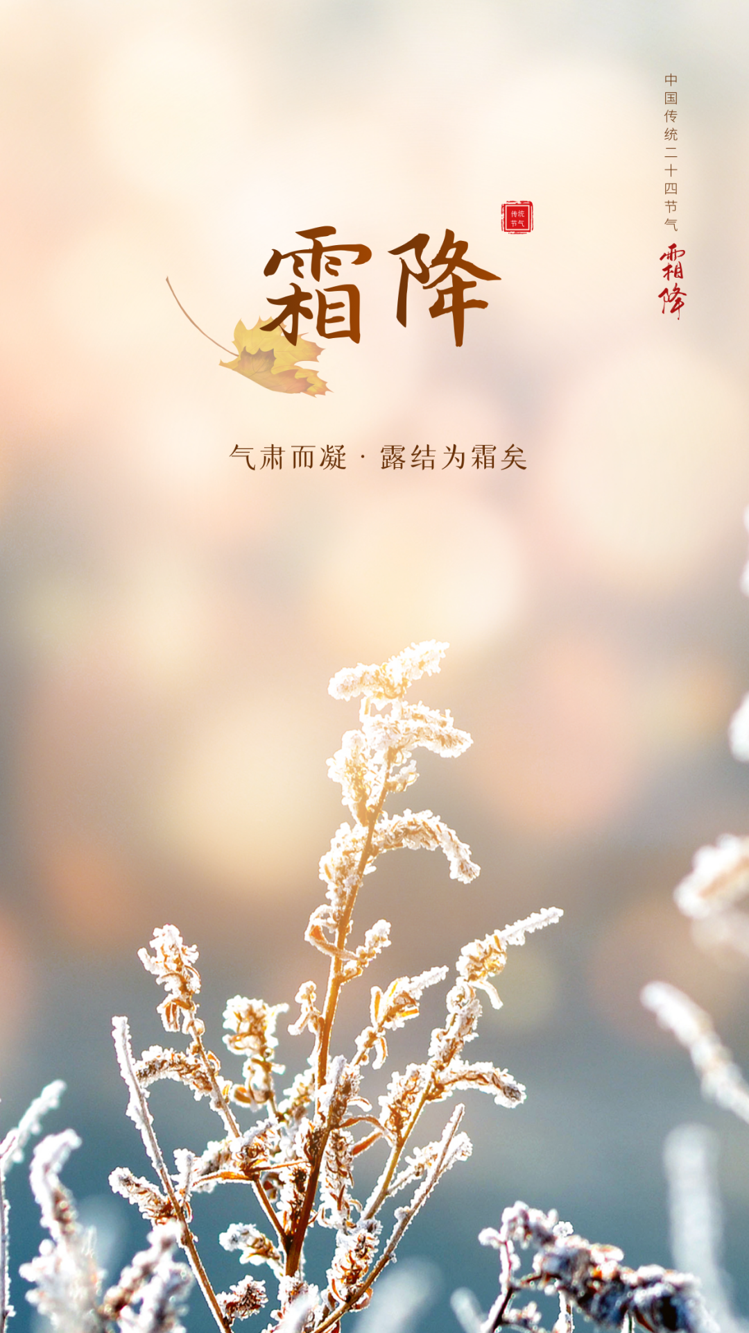 中国传统二十四节气——霜降