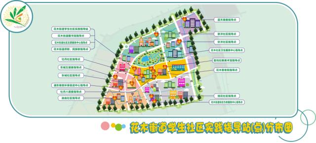 花木新课堂获市级荣誉!四位一体,让每一个孩子健康成长