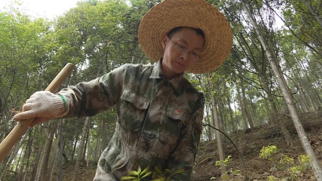 全国最美基层高校毕业生刘天娇:十年青春伴青山