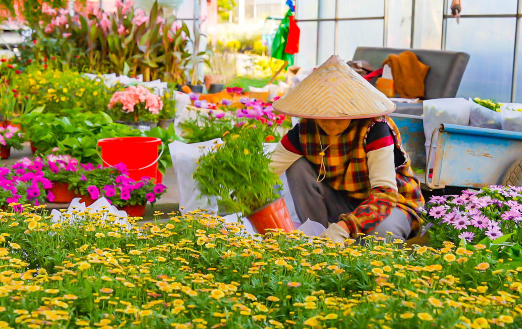 花木市场图片