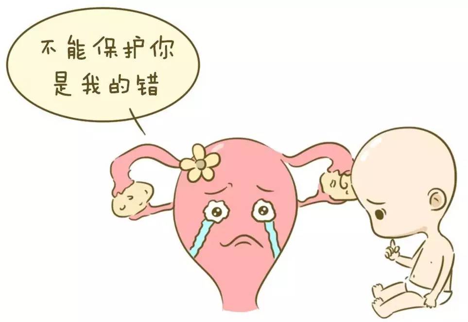 妻子想终止妊娠丈夫阻止,他有权利决定女性生育吗?