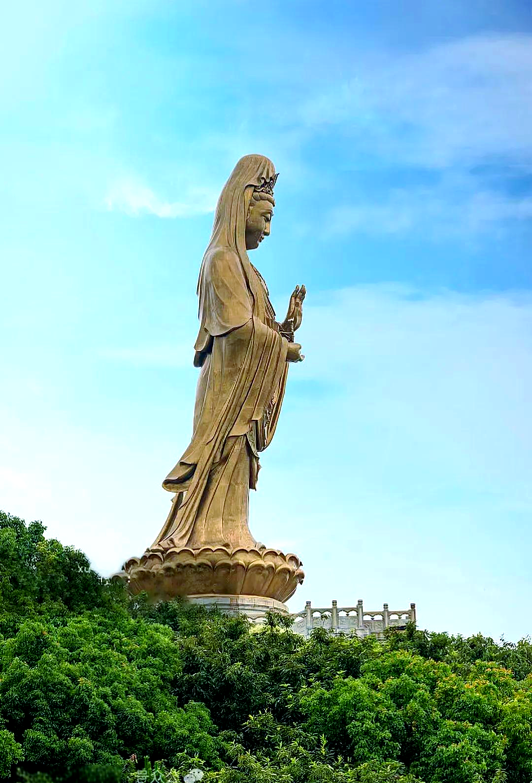 探秘普陀山:感受佛教文化的独特魅力