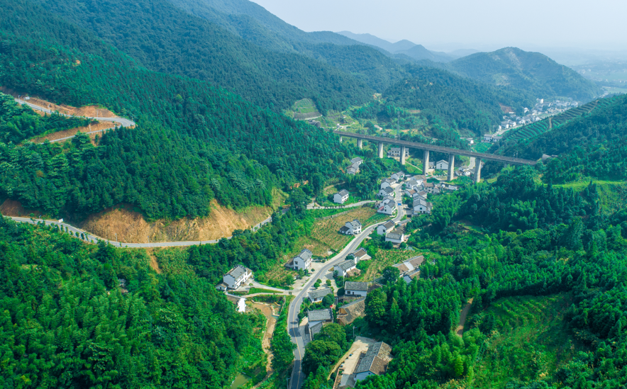 醴陵枫林镇:激活红色引擎 赋能美丽乡村建设