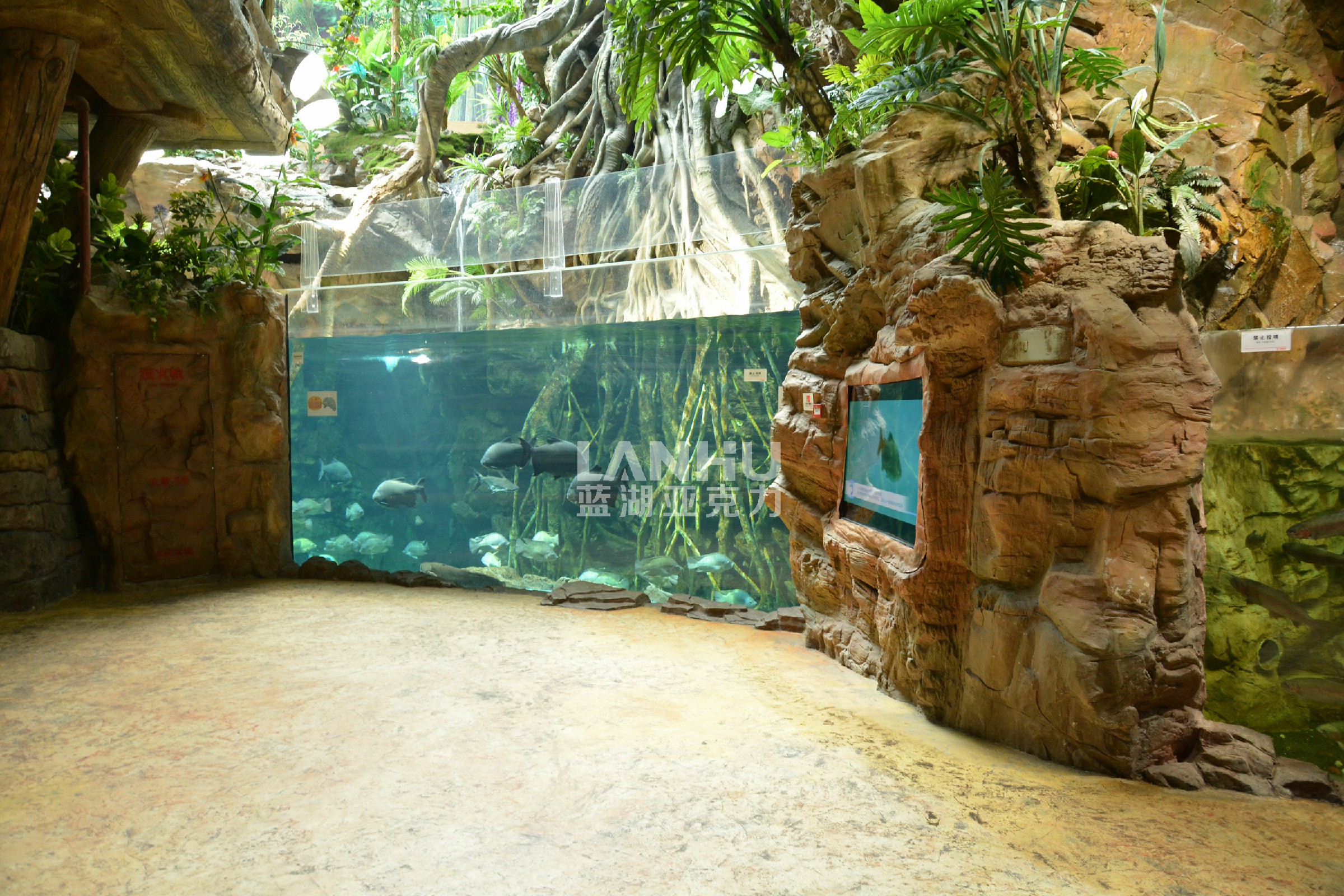 小型水族馆设计,创造海洋奇观的小天地