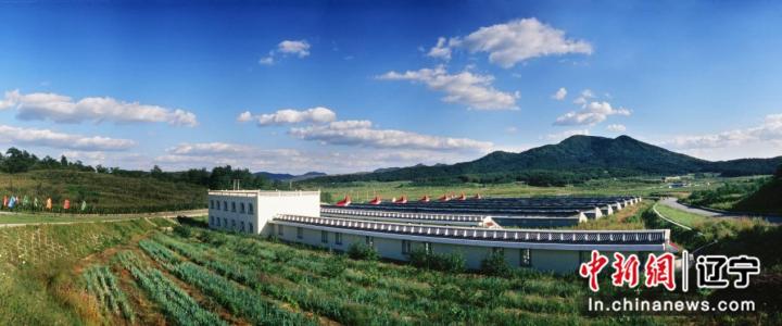 沈南好山水 春天花正开 沈阳苏家屯区文化旅游强势复苏