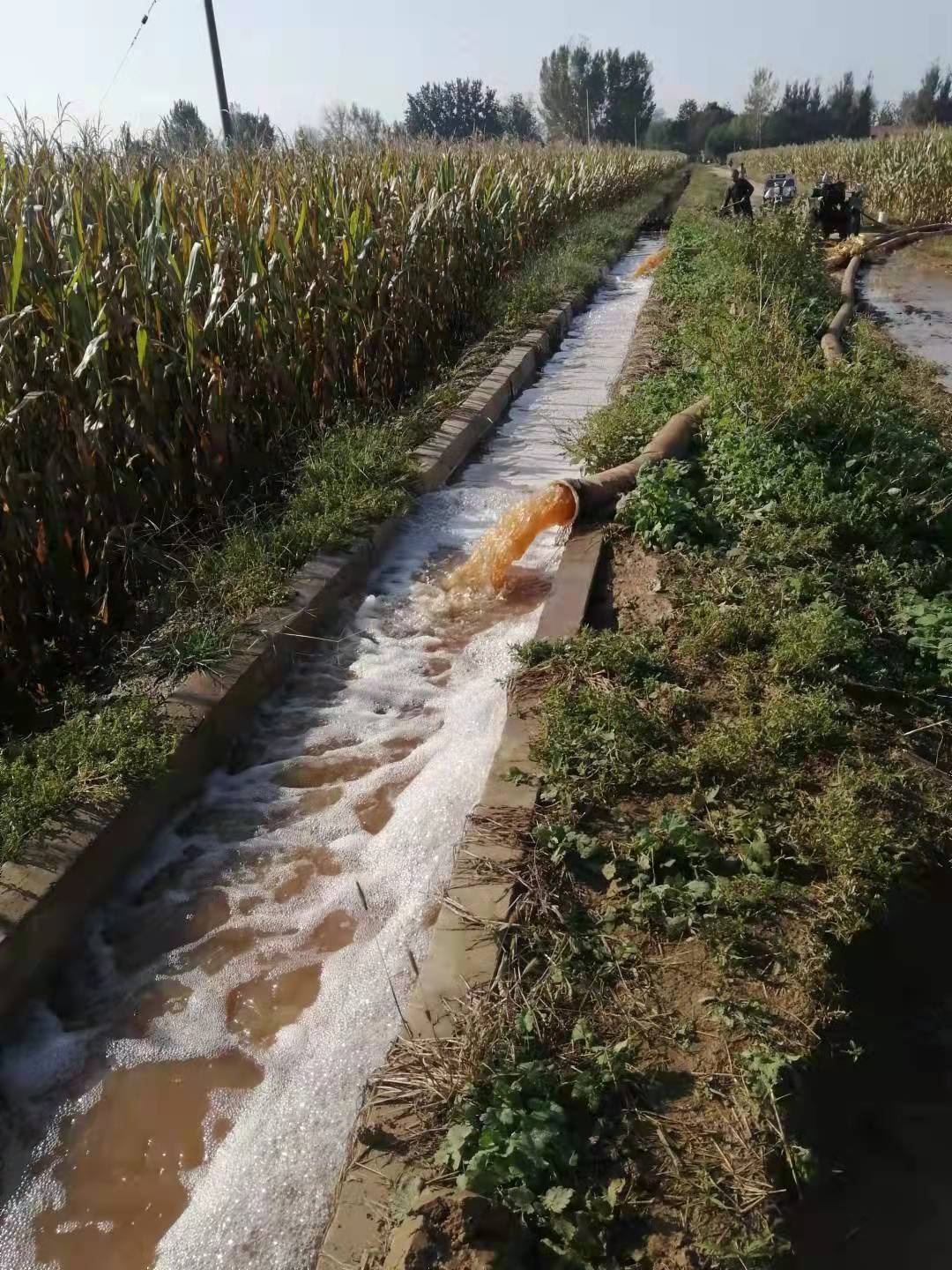衡水市冀州区吹响农田排涝"冲锋号" 打好秋收秋种"保卫战"