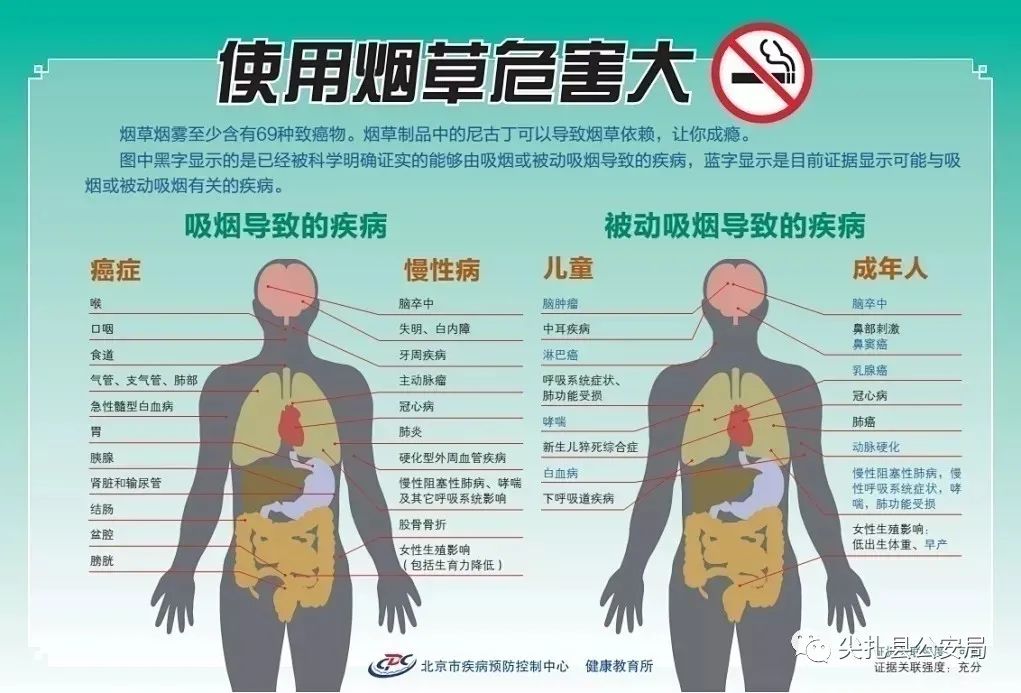 吸烟的危害恐怖图片