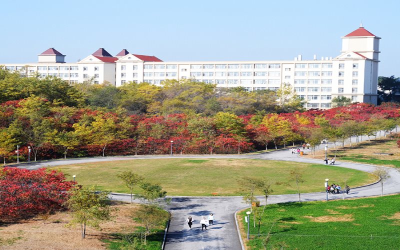 辽宁何氏医学院是985还是211(2024高考参考)