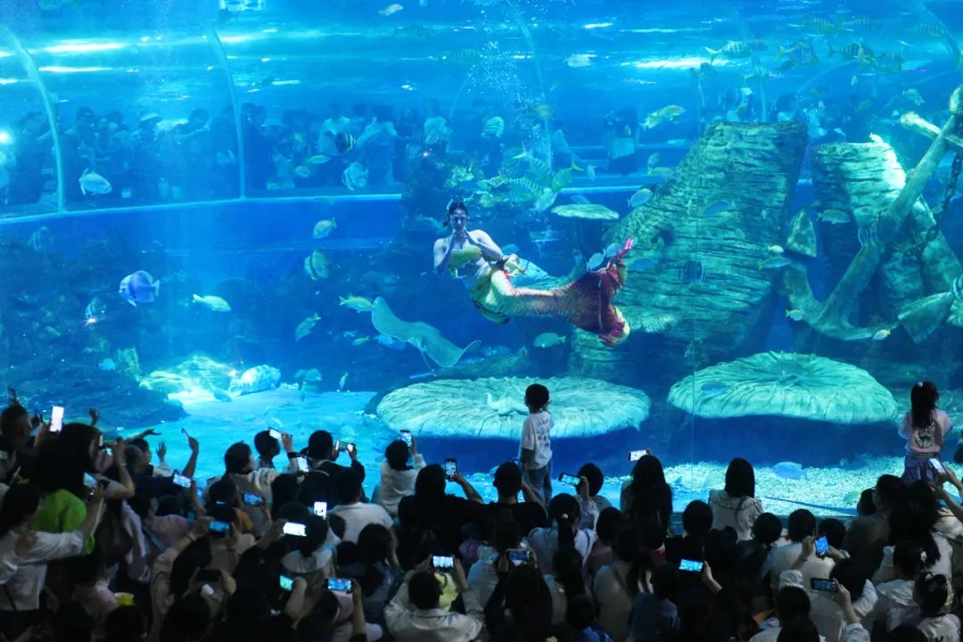 图陪伴季61亲子欢乐之旅,主打亲子家庭游,第一站到达阜阳生态乐园