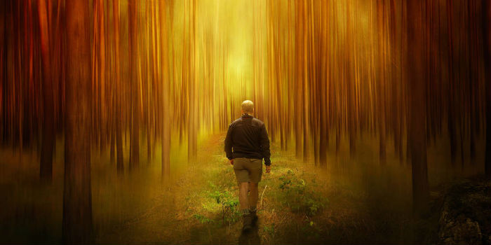 翁布罗萨的大地与天空