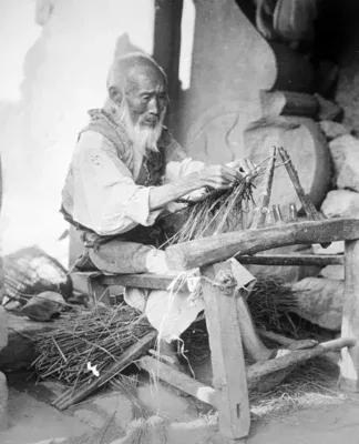 有精神洁癖的人,若想拥有俗世的幸福,就千万别当陈仲子