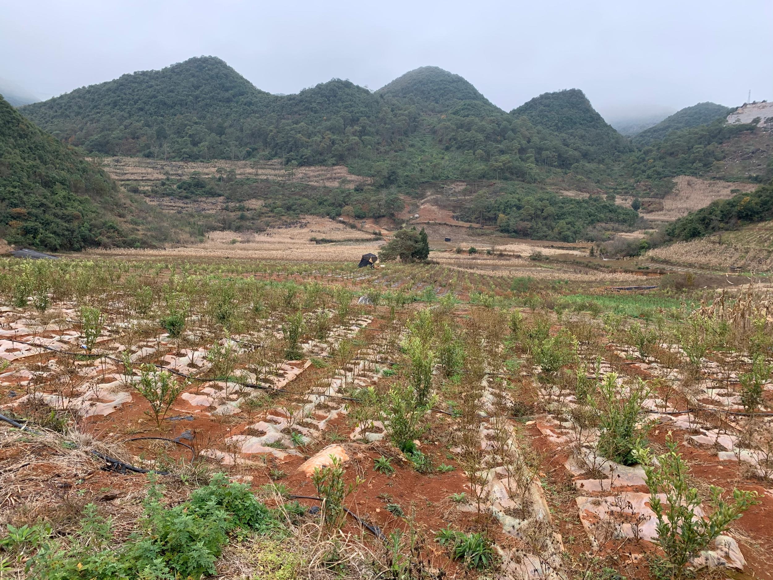 文山:东山合掌村唱响乡村振兴进行曲
