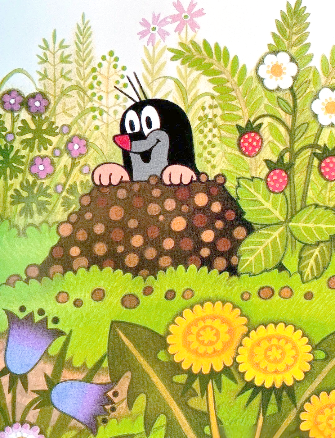 《鼹鼠的故事》动画:一代人的童年回忆与成长伙伴