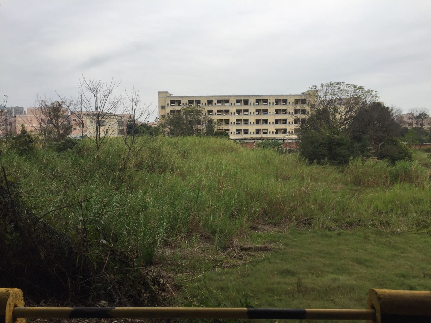 深圳一座超低调的寺庙——坪山国兴寺,你去过吗?
