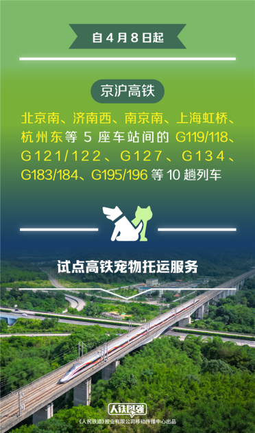宠物猫狗能坐高铁了！铁路12306推出宠物托运功能：将在这些车次试点
