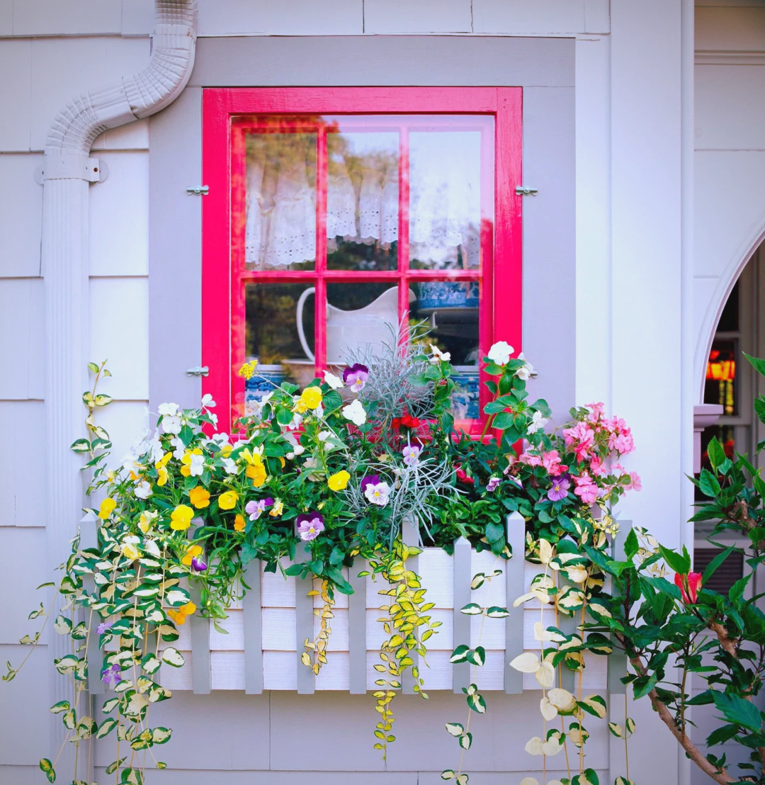 窗台花园的打造与养护指南