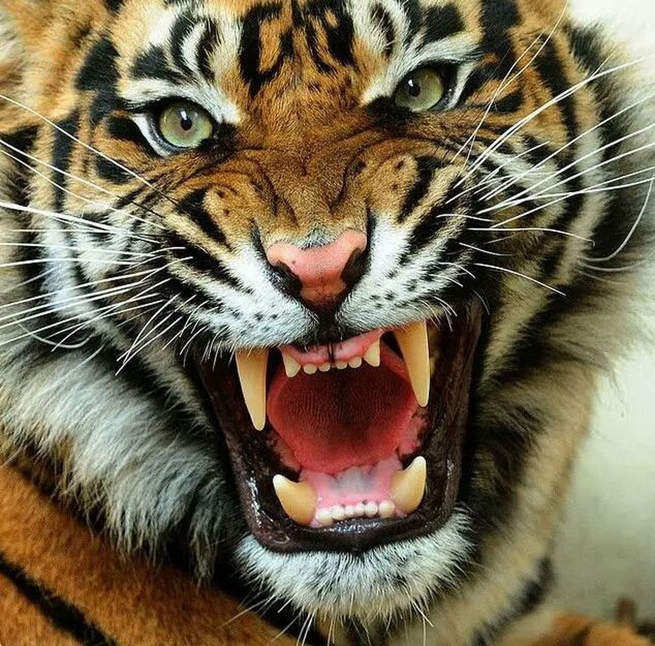 我们在实际的交易中遇到很多问题并且发现,更多更好的