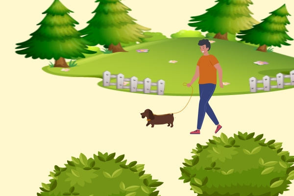 大学生 "代遛狗"新模式,免费不免责!