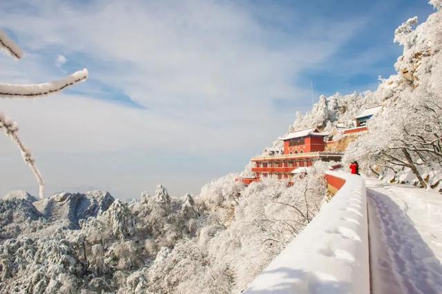 天津零下15度,雪都下在了市外,雪景分外浪漫