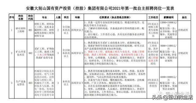 大别山国投集团2021年第一批自主招聘公告