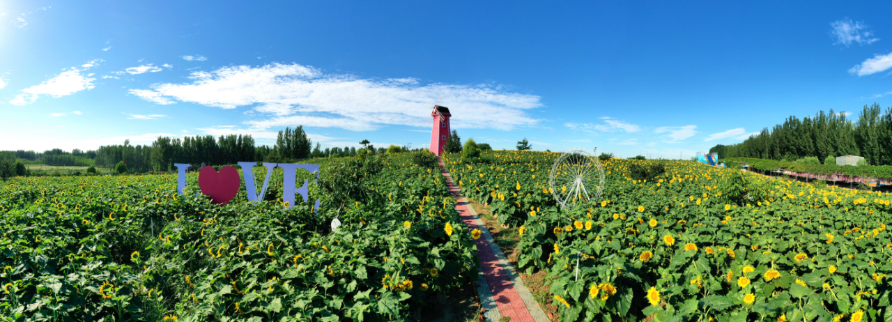 近年来,亚滦湾农业公园(简称"亚滦湾")立足乡村农业特色资源,以"桃