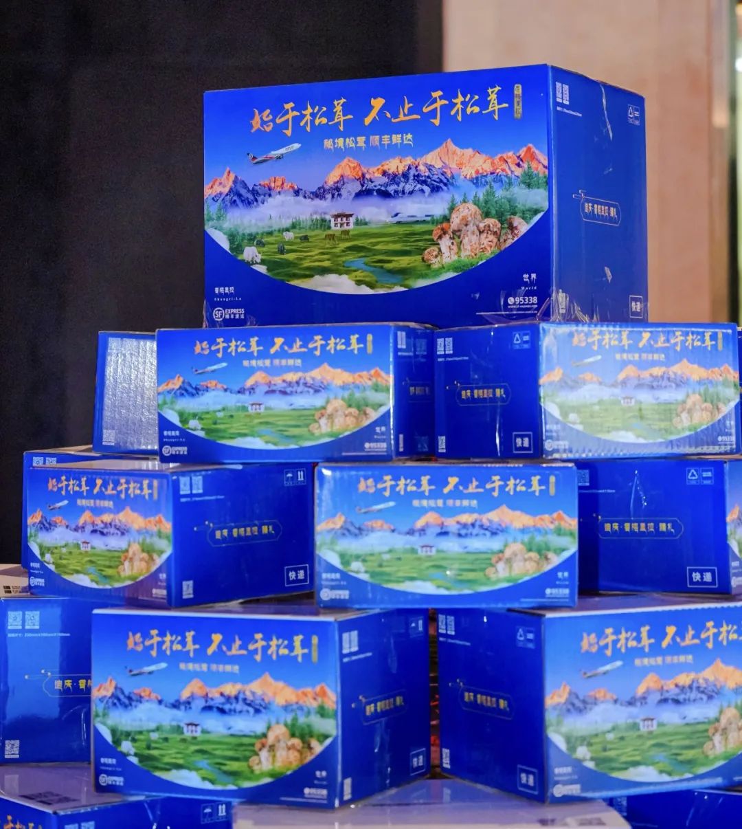 48小时覆盖310城顺丰全货机护航香格里拉松茸撑起乡村振兴致富伞