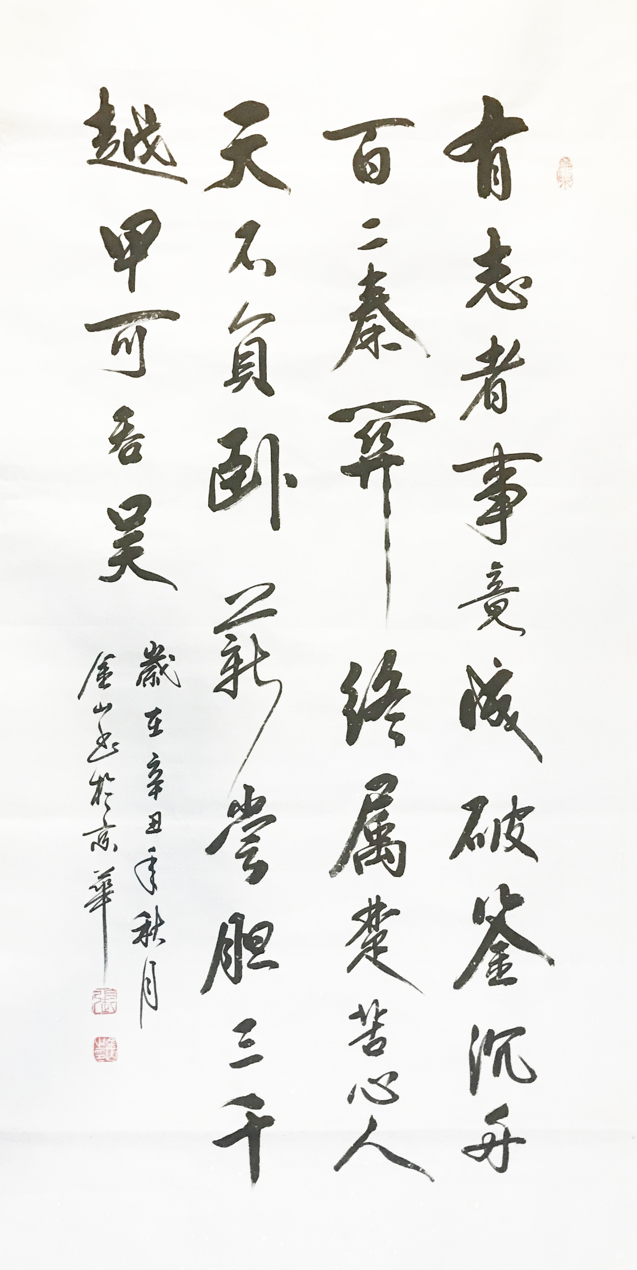 书法家——张金山