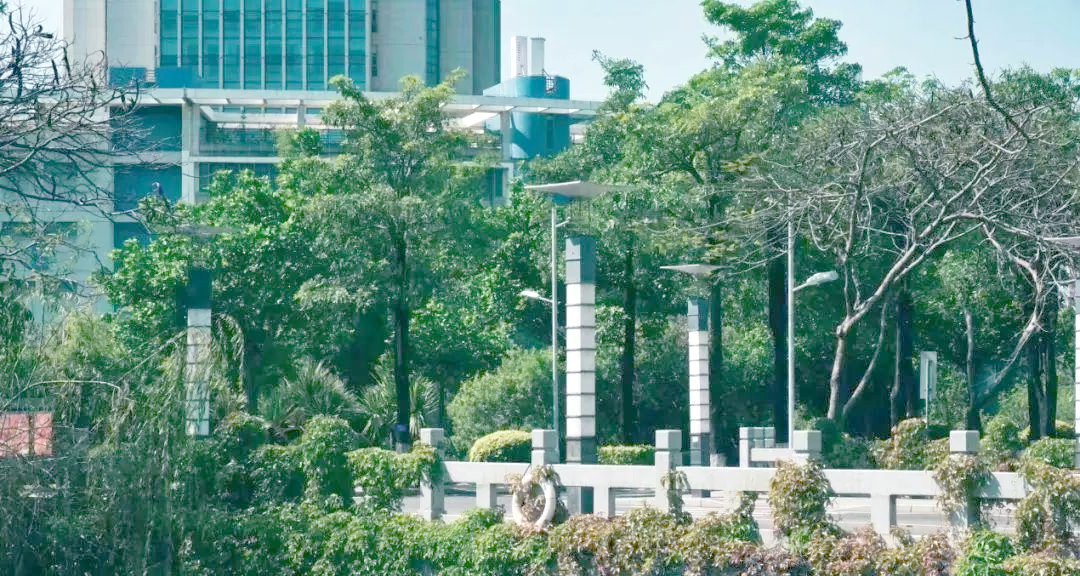 华侨大学厦门与龙舟池校区全景及校园生活揭秘