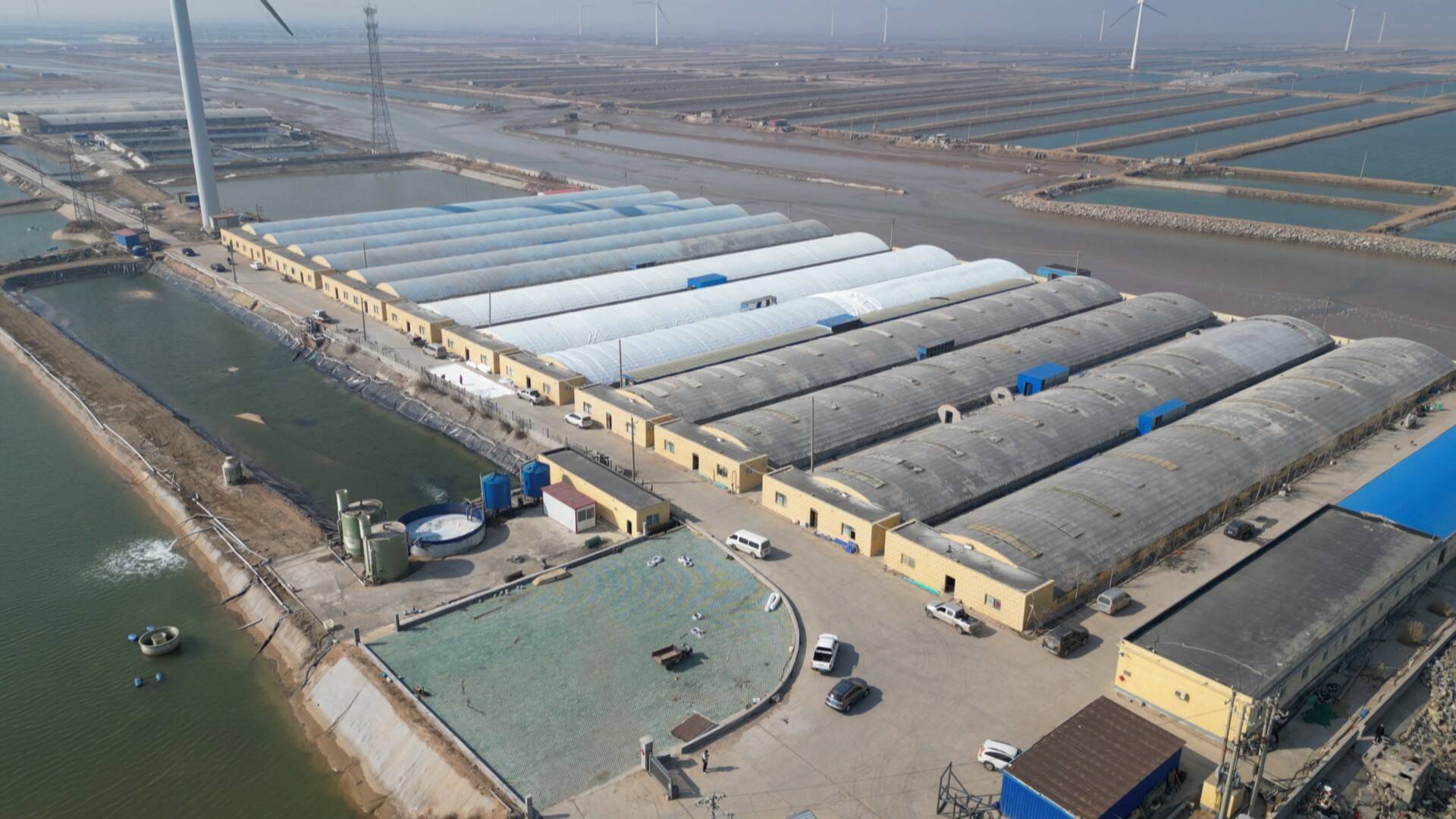 东营市河口区:工厂化养殖"科技范" 走出乡村振兴好"步伐"