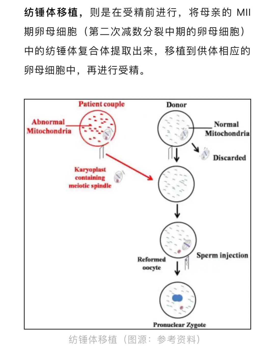 2023—2024年生物热点事件回顾—高考试题素材整理