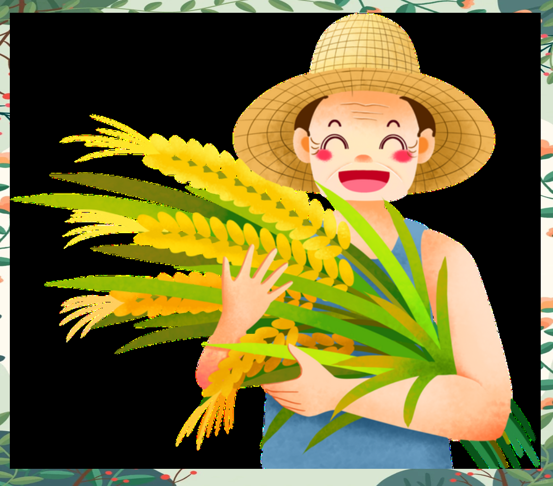 水稻的生长之旅在科普环节中,同学们跟随主讲人一同探索了水稻从种子