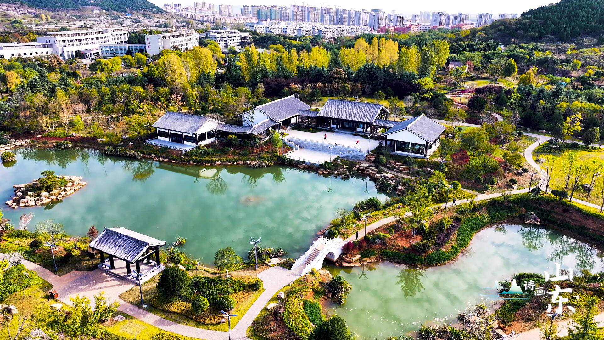 诗画山东|红橙黄绿层林尽染,枣庄凤鸣公园初冬景缤纷