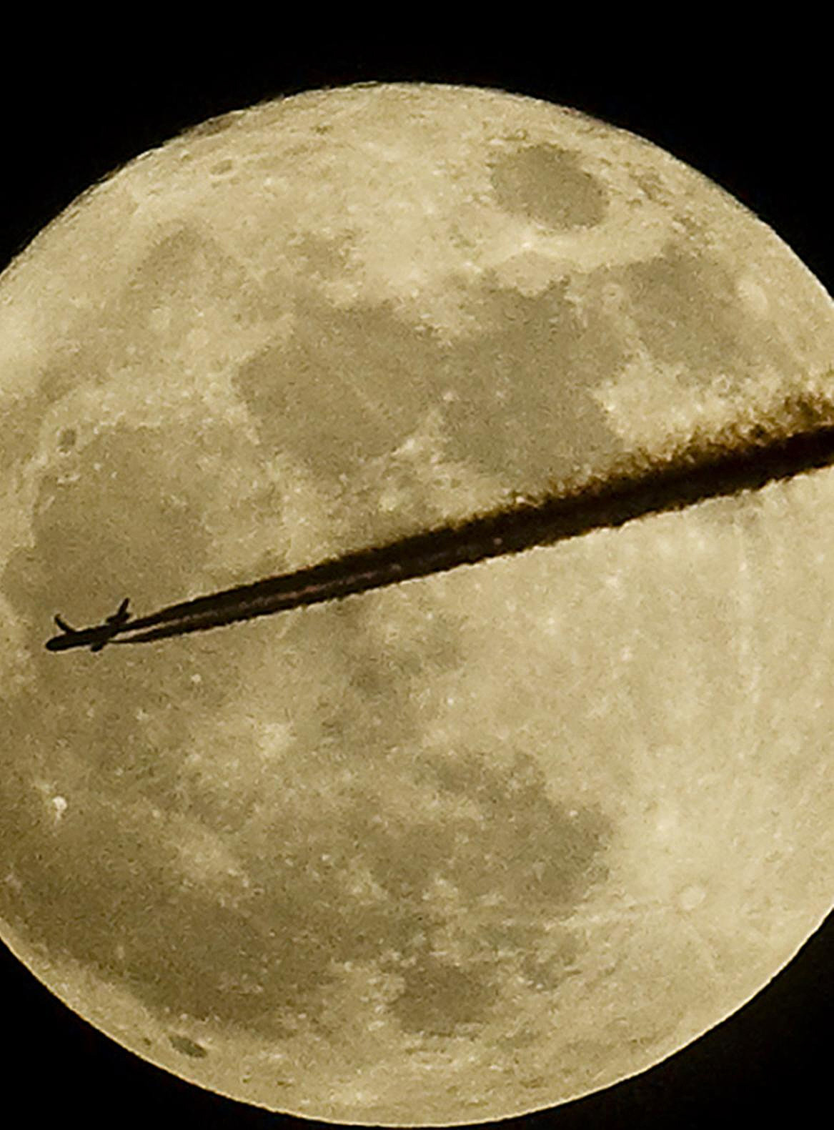 图说|人类月球日:上九天揽月,我国登月计划已拉开大幕