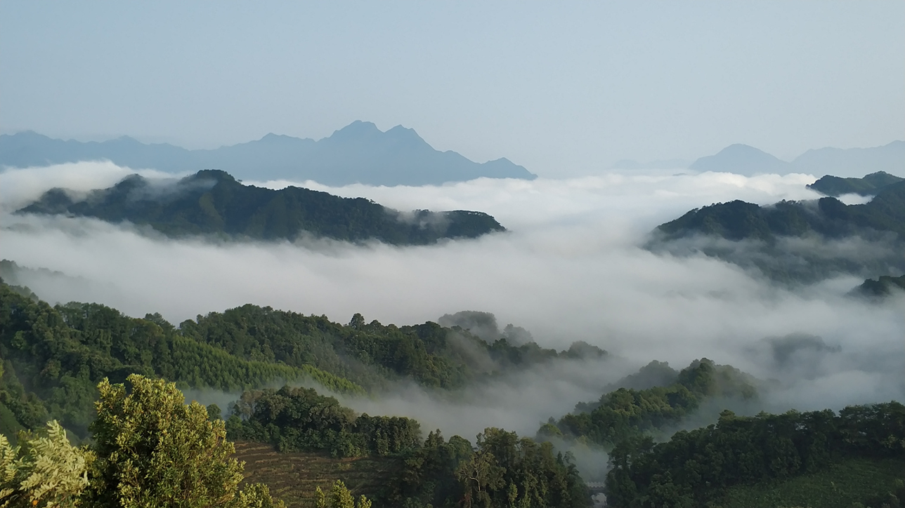 昭平县南山茶海景区简介