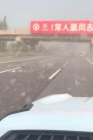 比大雾天更惊险！网友高速突遇杨絮风暴：能见度不足1米