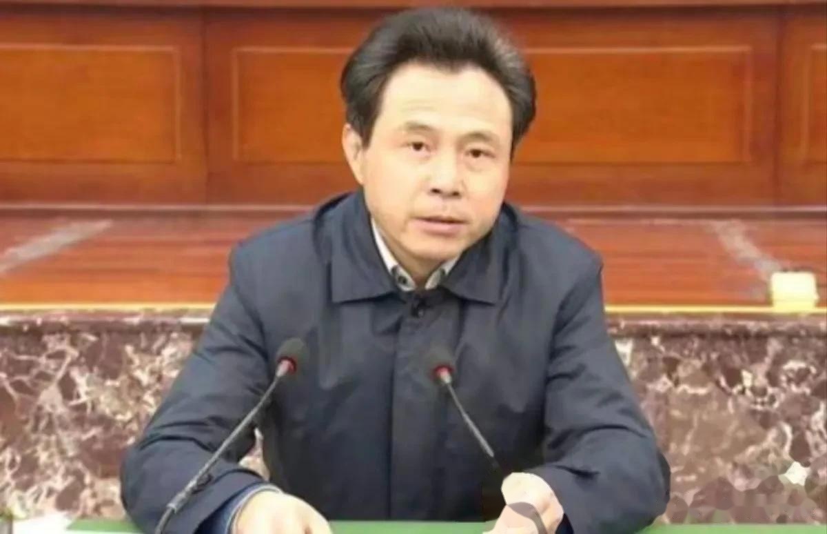 河南周哲被查,当过县长9年,县委书记两年,今年57岁