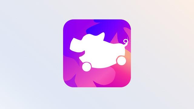 换一个角度看看花小猪app