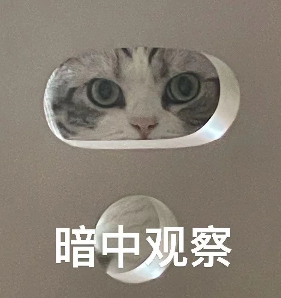 局部冰雹或短时强降水!蓬莱发布最新天气预报