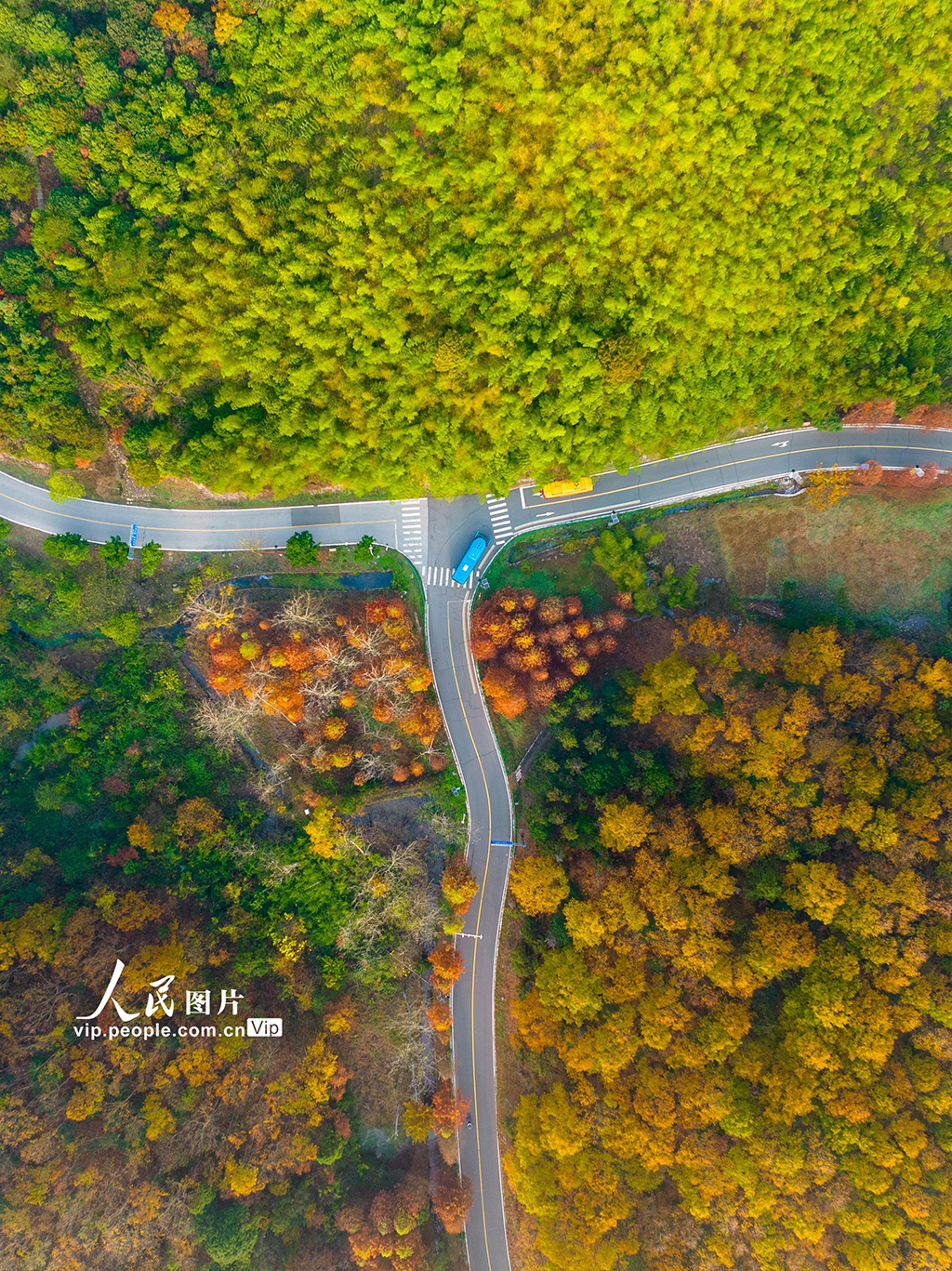 江蘇南京:無想山風景區冬景如畫