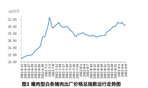 淡季不淡猪肉价格还会涨吗专家四季度到春节或维持2225元公斤