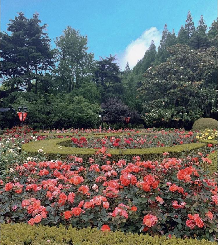 近百年来首次对外,陕西北路457号内绿地花园破墙开放