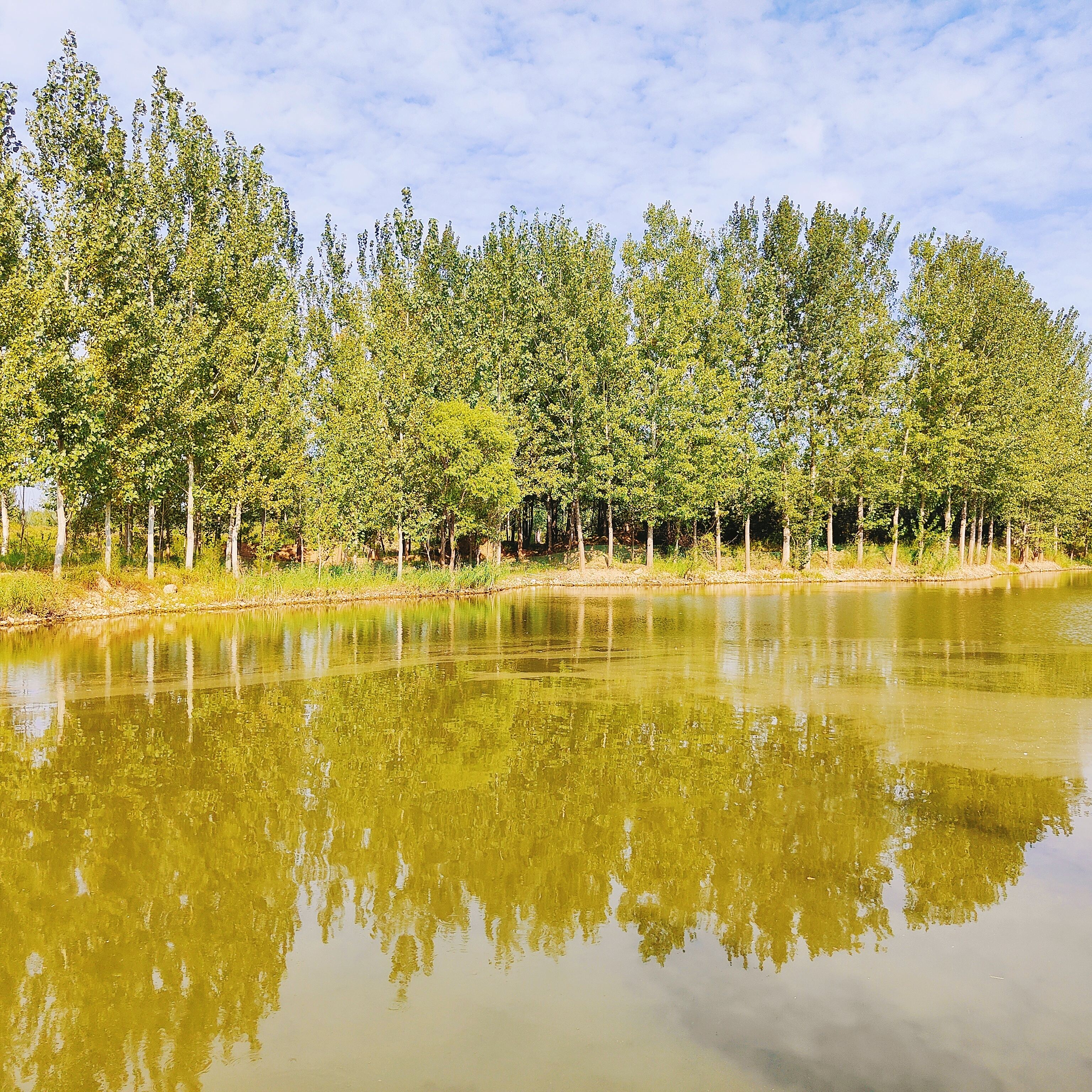 禹州沙陀湖:风景这边独好!