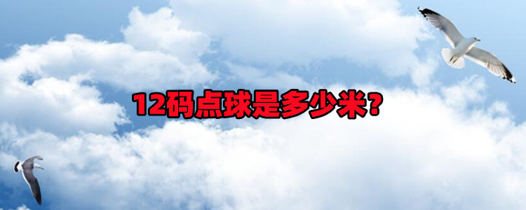 12码点球是多少米?罚点球的条件