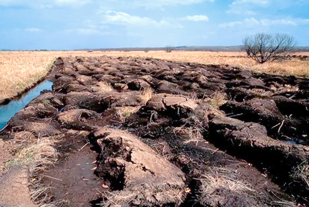 北大荒面临退耕抉择:为何在多年辛勤开垦后选择恢复原貌?