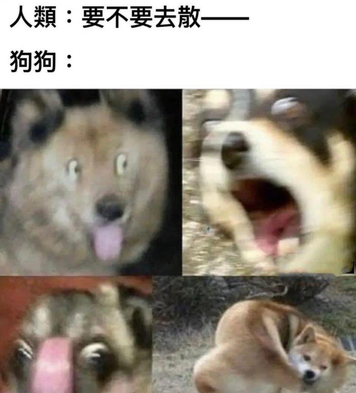 兴奋到模糊